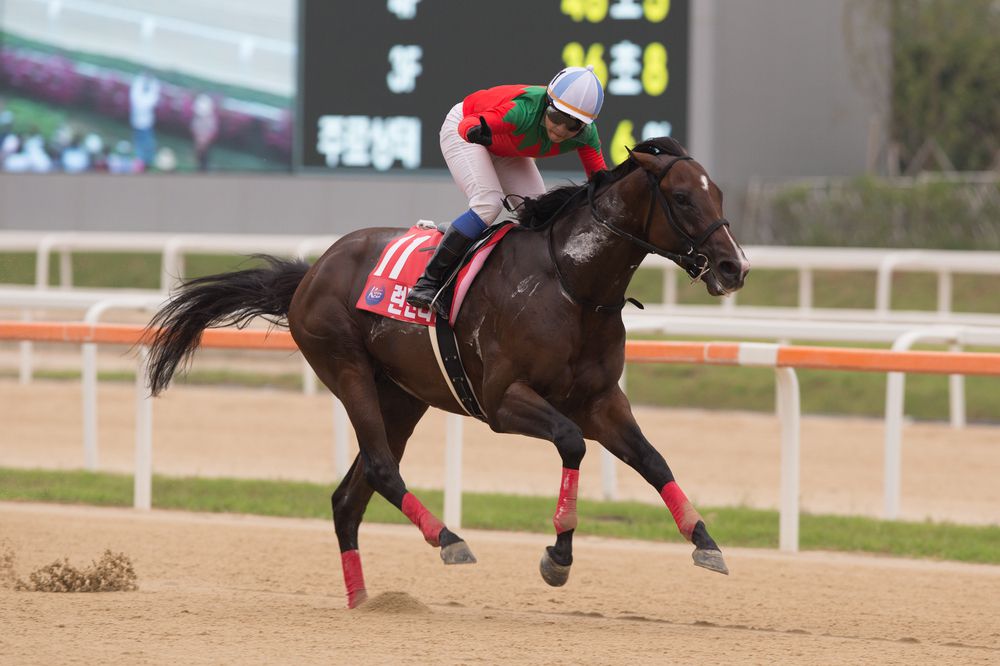 London Town and Yasunari Iwara after winning