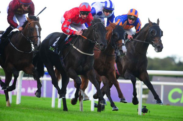 Suedois and Danny Tudhope (red) seen here winning at Leopardstown