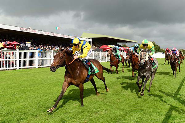 Count Of Carabass and Chris Hayes lead them home