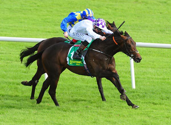 Warm The Voice heads for home under Kevin Manning