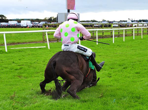 Bamako Moriviere and Ruby Walsh come to grief at the last