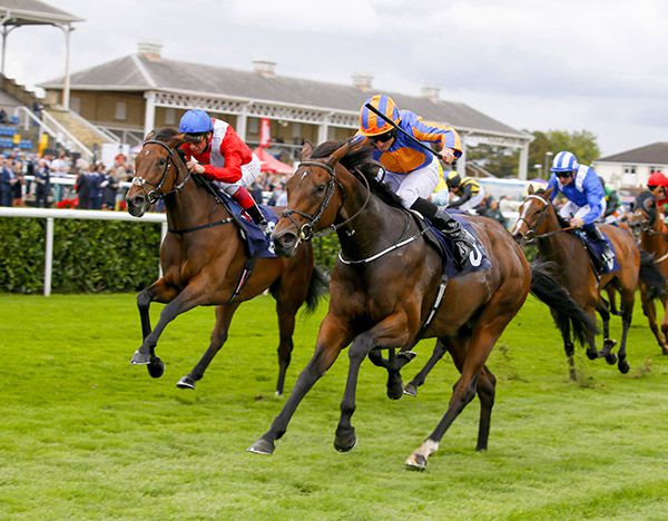 Music Box wins under Ryan Moore