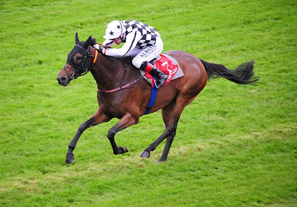 Sleepy Head and Pat Smullen