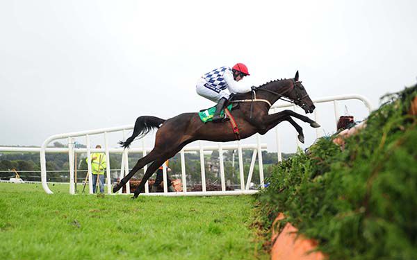 Rathvinden (Ruby Walsh) puts in a fine jump at the last