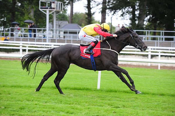 Erratic Path and Colin Keane