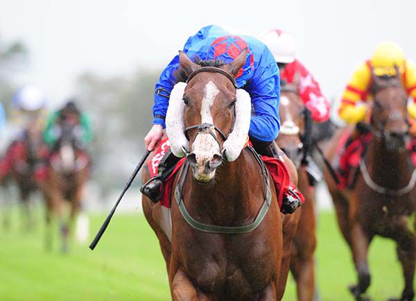 Cosmic Symbol and Dylan Hogan