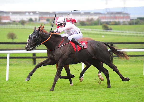 Get Out Of Jail and Conor McGovern