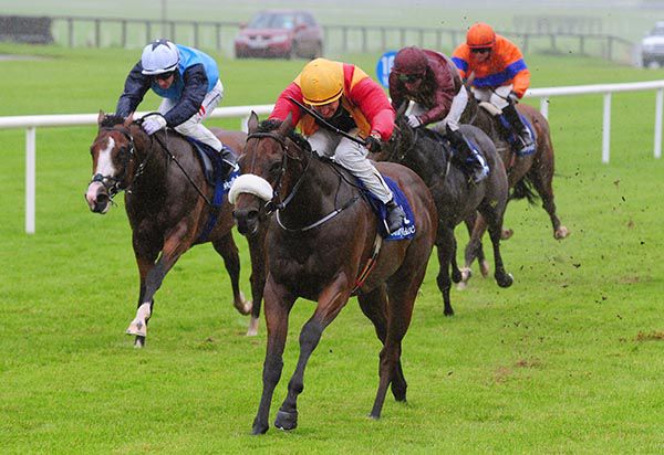 Brick By Brick is ridden out by Shane Foley to beat Gobi Desert (white face)