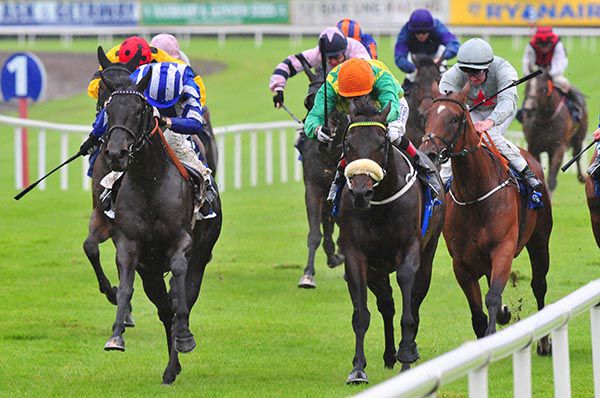 Focus On Heaven (left) stays on best to beat Invincible Ryker (noseband)