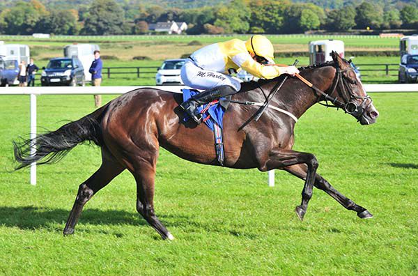 Quiet Reflection is ridden out by Martin Harley