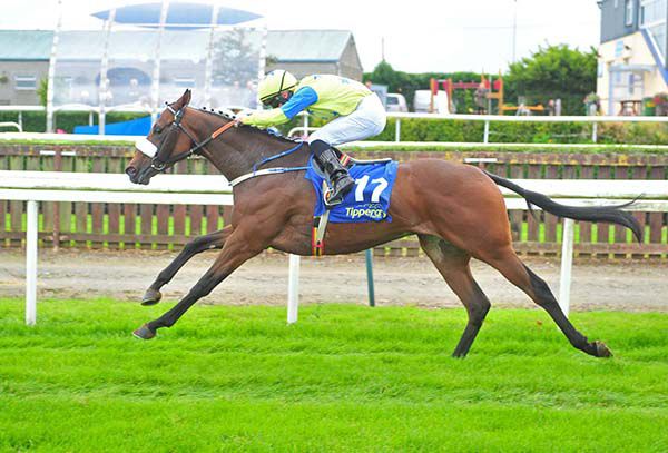 Landline and Rory Cleary 