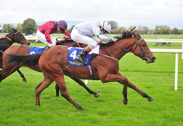 Triple Sec and Ronan Whelan 