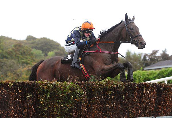 Logical Song and Danny Mullins pictured on their way to victory