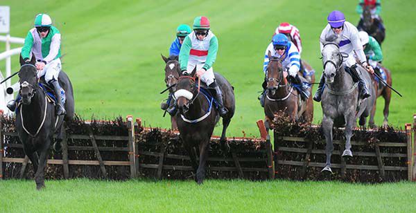The grey Doldido (right) jumps the last with Motcomb Street (left)