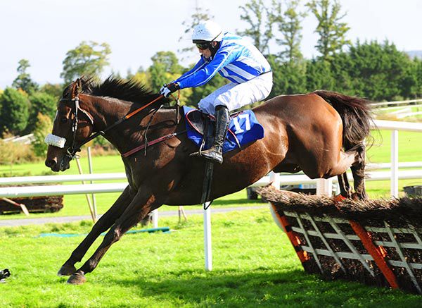 Fairymount Boy and Barry John Foley clear the last