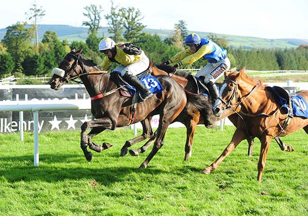 Ballymadun is ridden out by Conor Maxwell to beat Ash Rowe