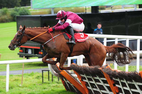 High School Days jumps the last in Gowran Park