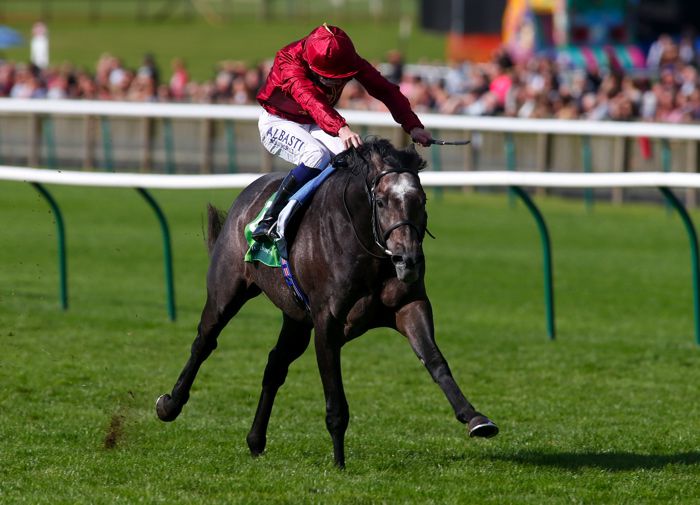 Roaring Lion