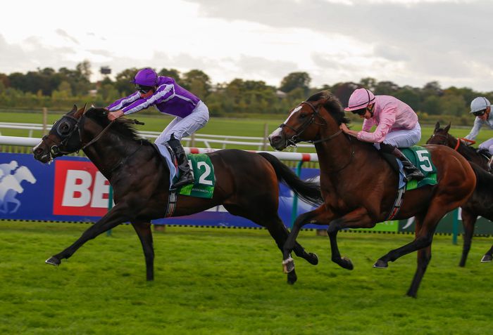 U S Navy Flag leads them home in Newmarket