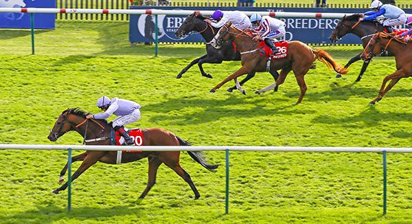 Dolphin Vista, near side, serves up a 50/1 shock 