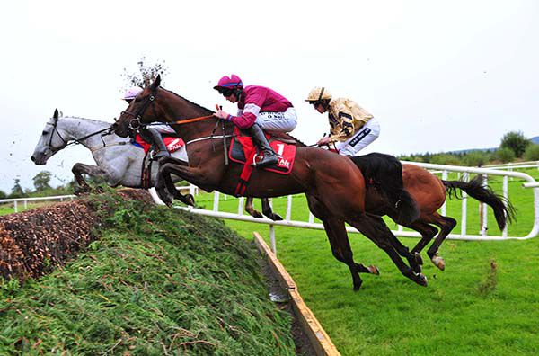 A Toi Phil in action at Gowran 