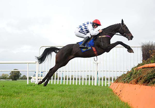 What a shot of Rathvinden and Ruby Walsh on their way to success in the penultimate at Tipperary
