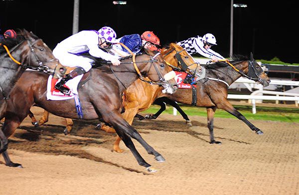 Sleepy Head (white and black check) gets up