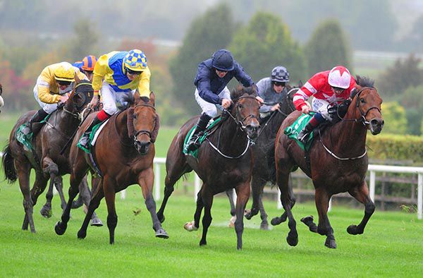Yellow and blue silks Fran Berry comes with a winning run on Texas Rock