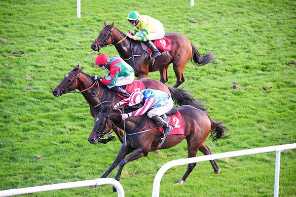 Voyageofdiscovery holds No Approval with Free To Roam third