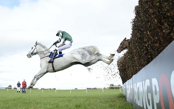 Grey Mountain Mist and Danny Mullins clear the last