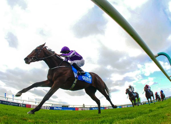 Kew Gardens was due to race in Saint-Cloud