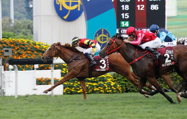 Lucky Bubbles beats Mr Stunning in the G1 Chairman's Sprint Prize last May.