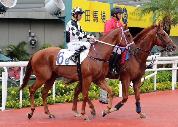 Master Albert makes his Happy Valley debut after three Sha Tin starts.