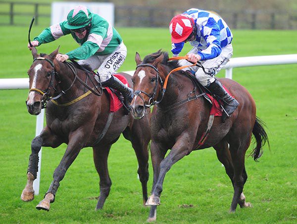 Lex Talionis (Sean Flanagan, left) proved superior to Champagne Pat (Andrew Lynch)