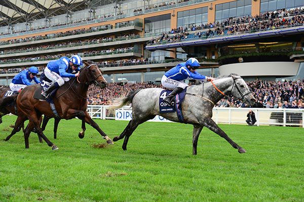 Librisa Breeze wins at Ascot