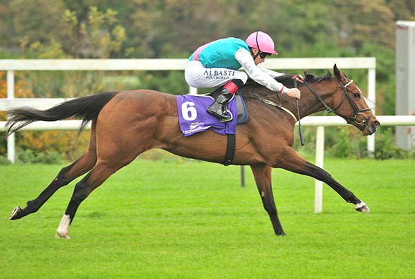 A beautiful shot of Contingent and Pat Smullen