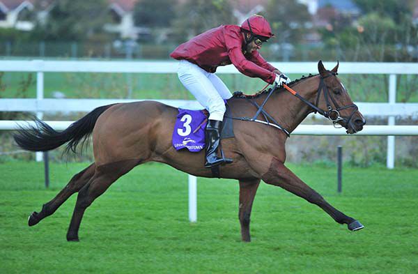 Brutal won a leg of the Corinthian Challenge last year and lines up again in today's race