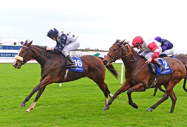 Thiswaycadeaux (noseband)