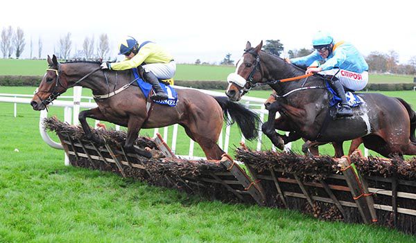 Hurricane Darwin (yellow) and Hollow Tree jump the last