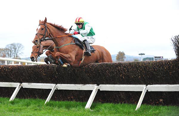 Crazywork De Vassy leads The Shepherd King over the last