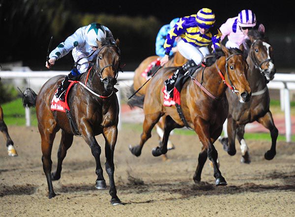 Bambari and Chris Hayes (left)