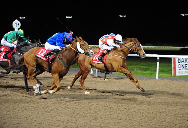 Tynamite wins under Nathan Crosse