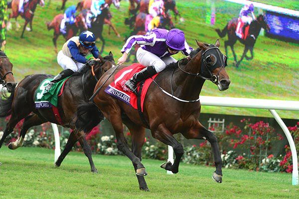 Mendelssohn pictured on his way to victory at Del Mar last year