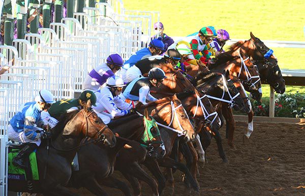 DEL MAR BREEDERS CUP 4-11-2017. Breeders Cup Juvenile.Runners break from stalls with GOOD MAGIC going on to win.Photo HEALY RACING.