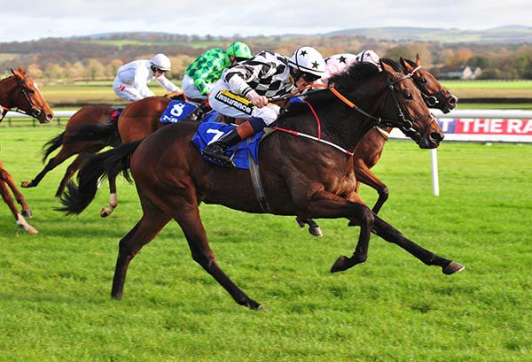 Vinnie's Wish stays on best under Donagh O'Connor