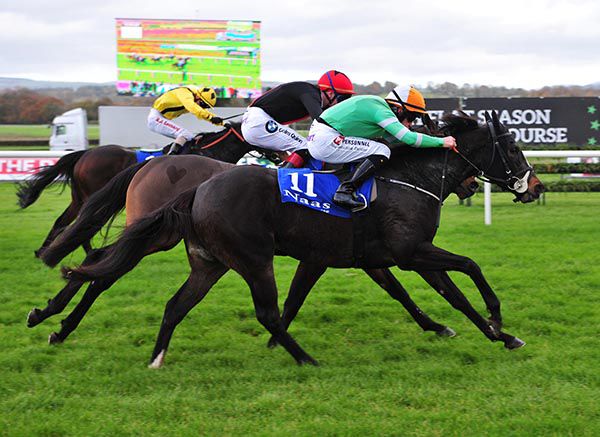 Aspen Belle (nearest) gets up close home under Leigh Roche