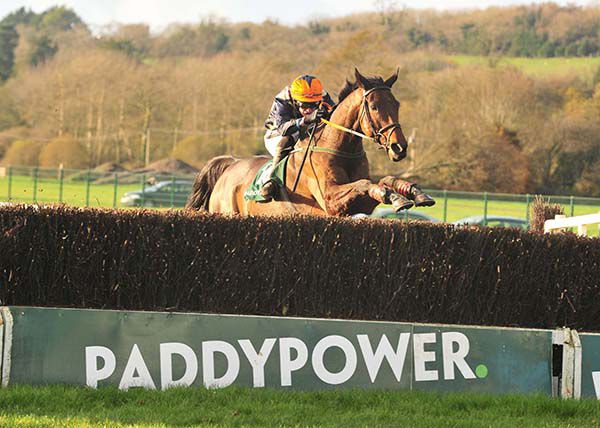 Logical Song (Danny Mullins) winning the Cork National