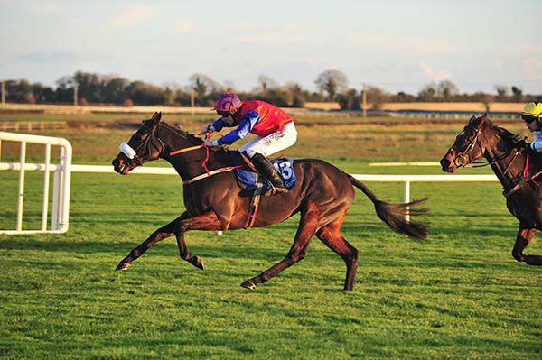 Roja Dove races on under Roger Loughran