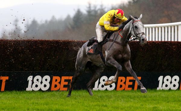 The Paul Nicholls-trained Politologue