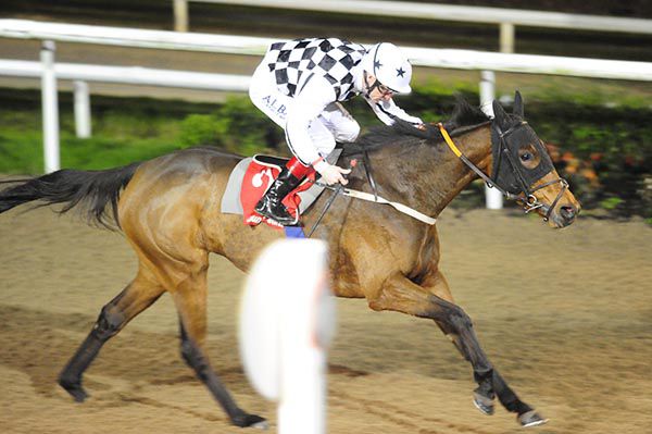 Sleepy Head and Pat Smullen flash by the post